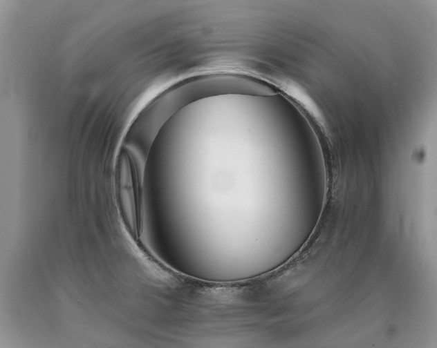 X0000090781380200707201515