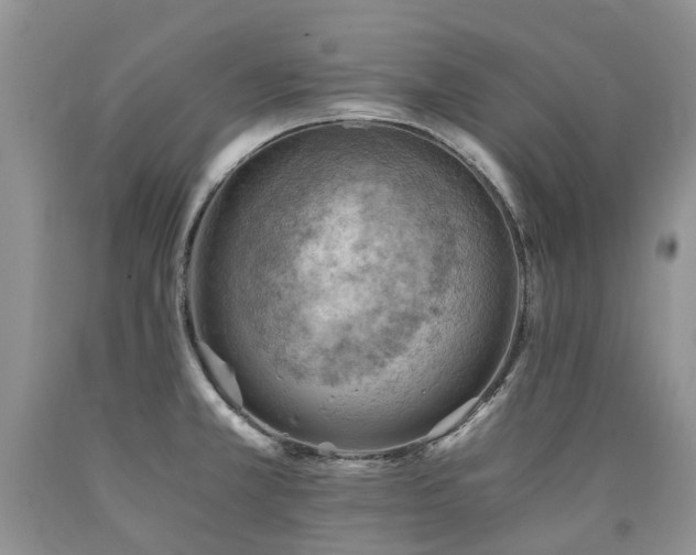 X0000090781381200707201515