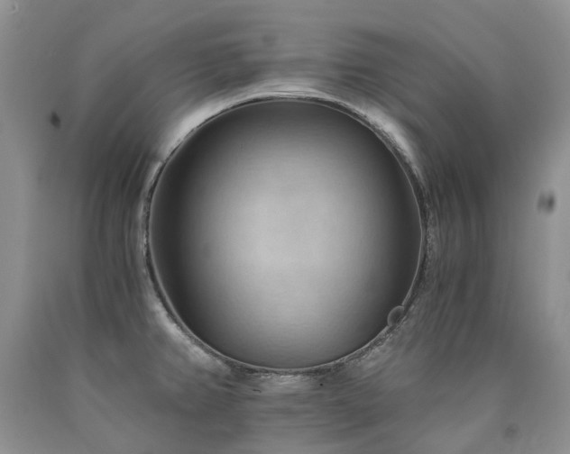 X0000090781382200707201515