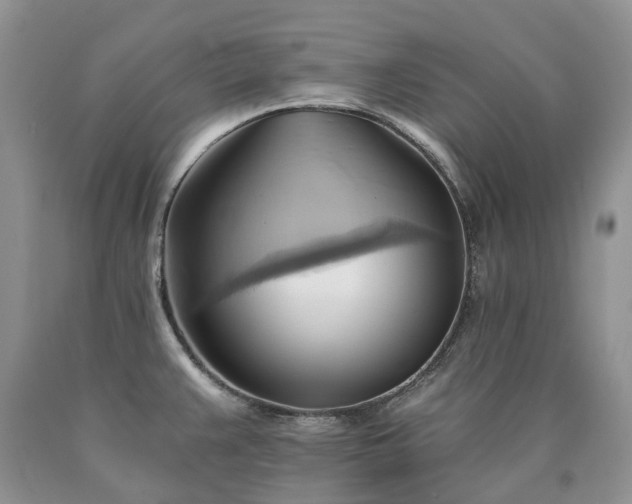 X0000090781383200707201515
