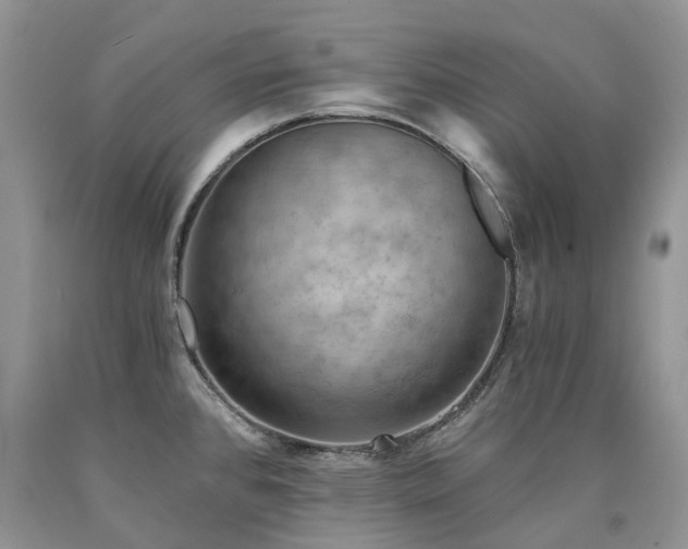 X0000090781384200707201515