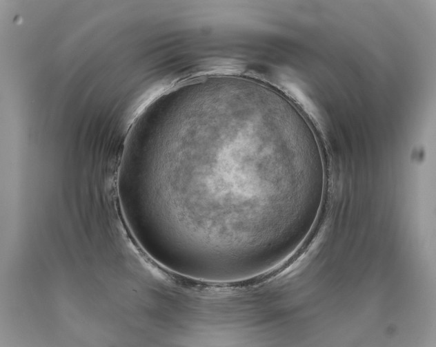 X0000090781385200707201515