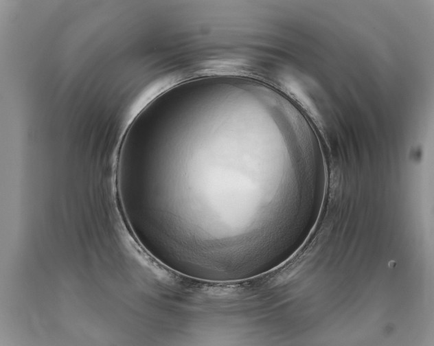 X0000090781386200707201515