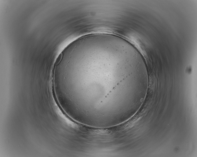 X0000090781387200707201515