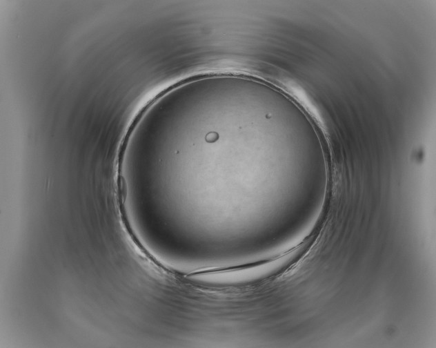 X0000090781388200707201515