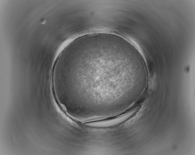 X0000090781389200707201515