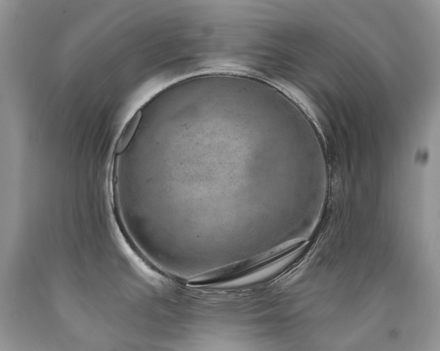 X0000090781391200707201515