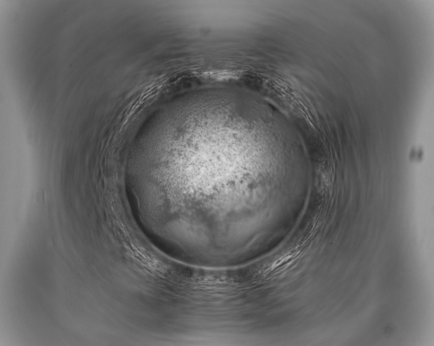 X0000090781393200707201514