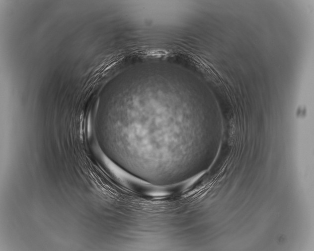 X0000090781394200707201514