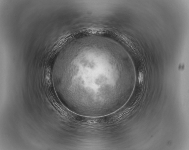 X0000090781396200707201514