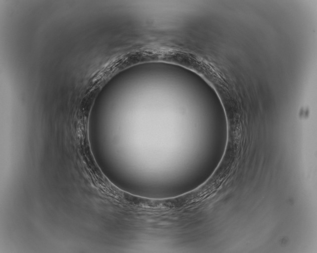 X0000090781397200707201514