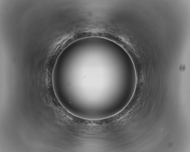 X0000090781398200707201514