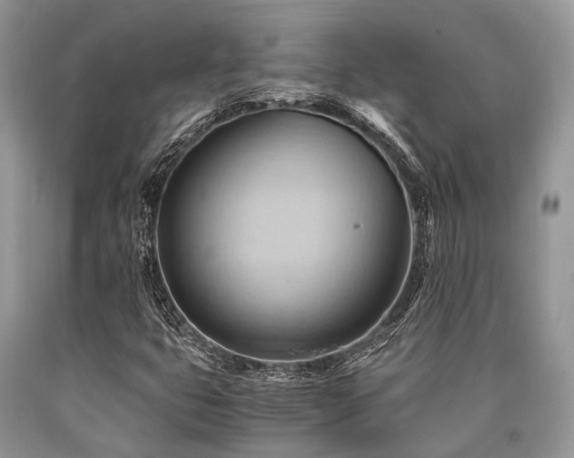 X0000090781399200707201514