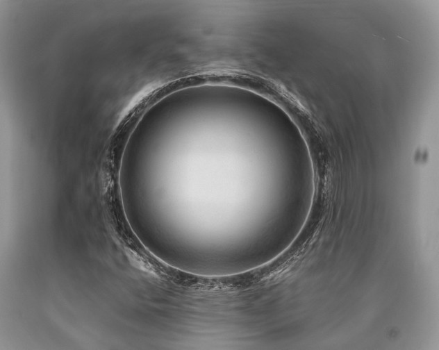 X0000090781400200707201514