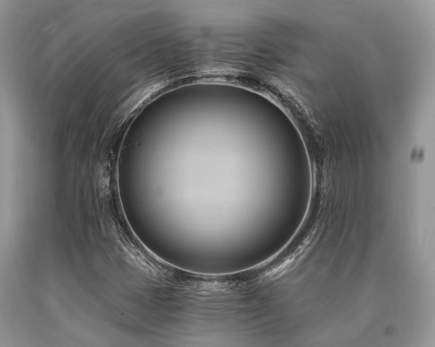 X0000090781401200707201514