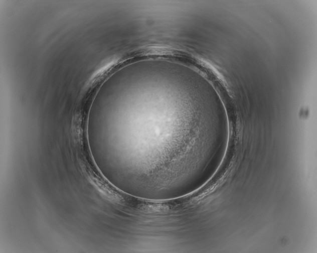 X0000090781403200707201514