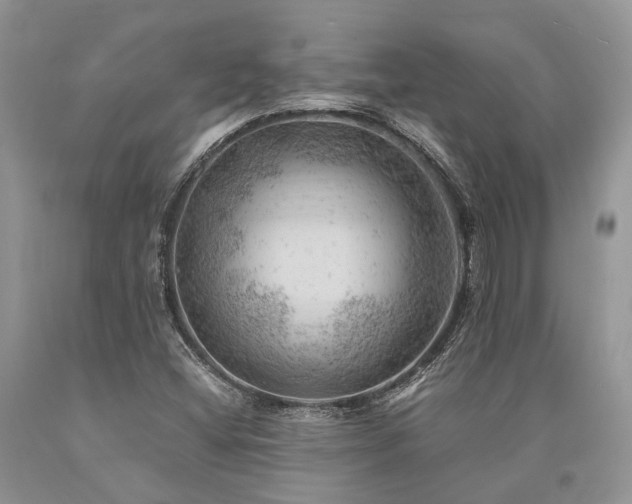 X0000090781404200707201514