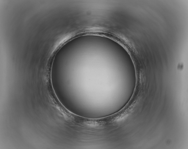 X0000090781405200707201514