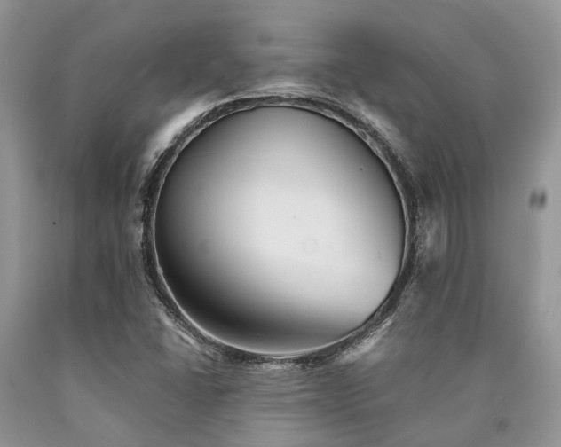 X0000090781406200707201514
