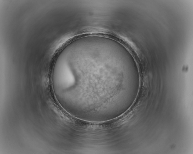 X0000090781407200707201514