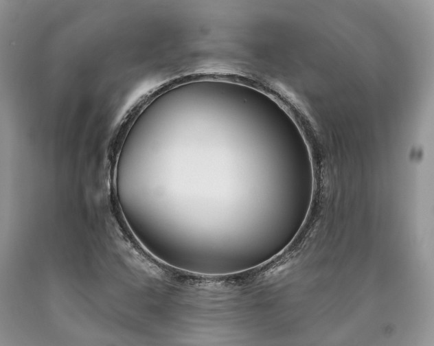 X0000090781408200707201514