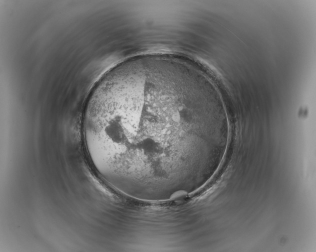 X0000090781409200707201514