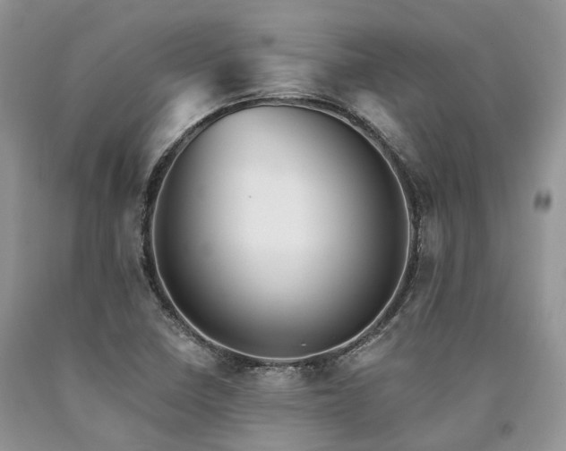 X0000090781410200707201514