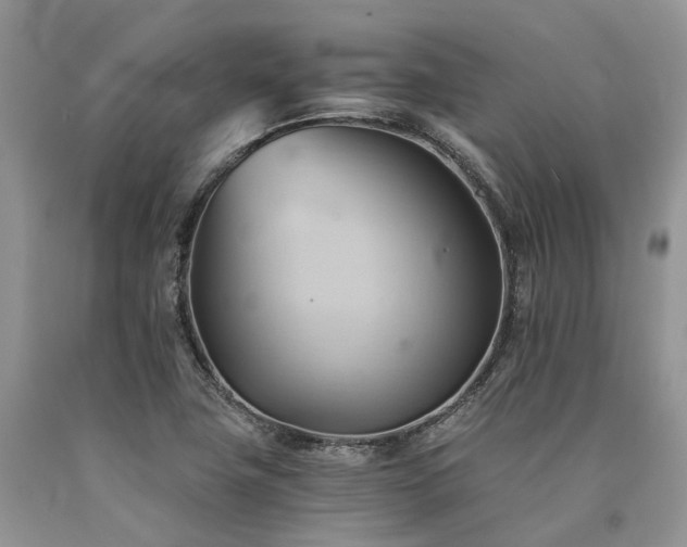 X0000090781411200707201514