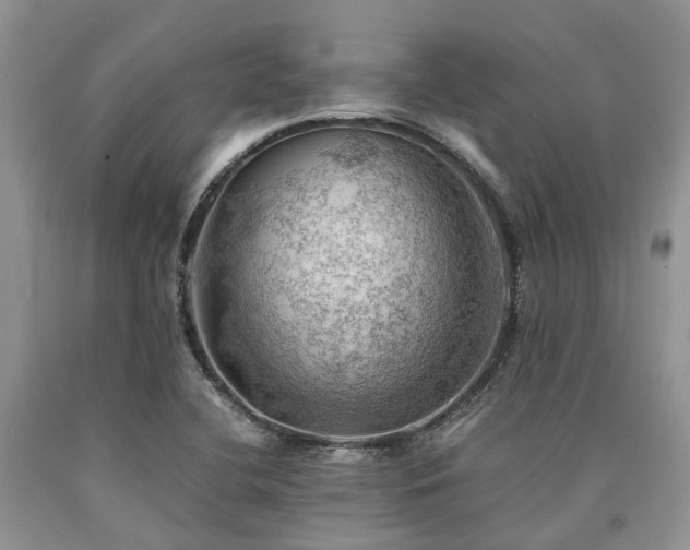 X0000090781412200707201514
