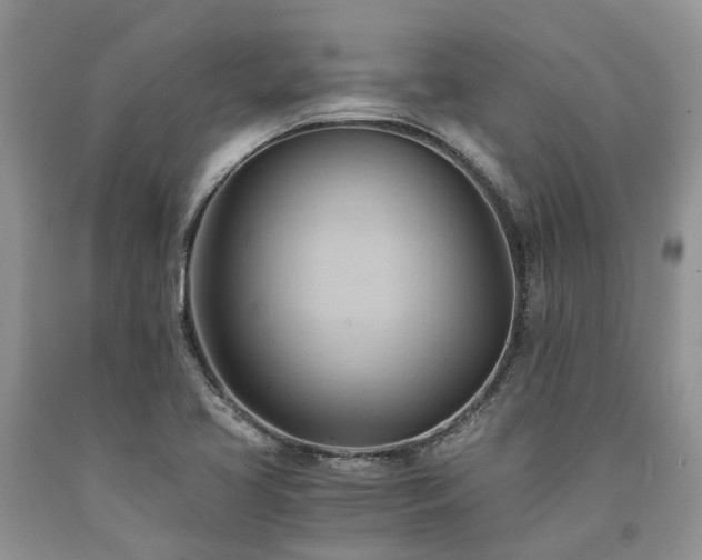 X0000090781413200707201514