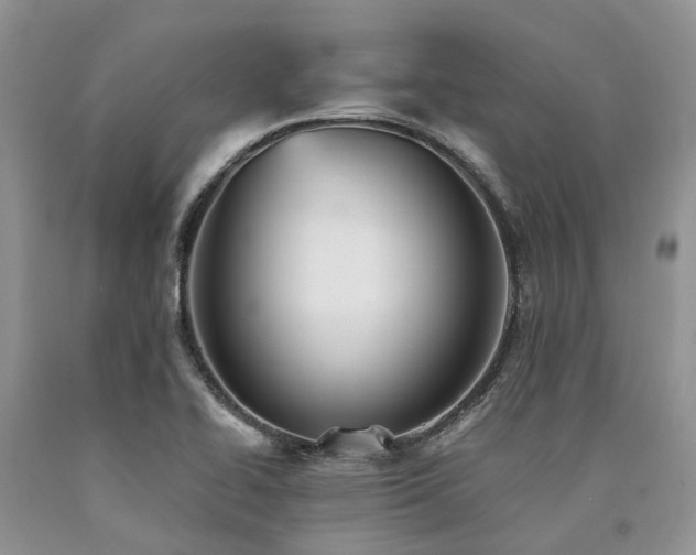X0000090781414200707201514