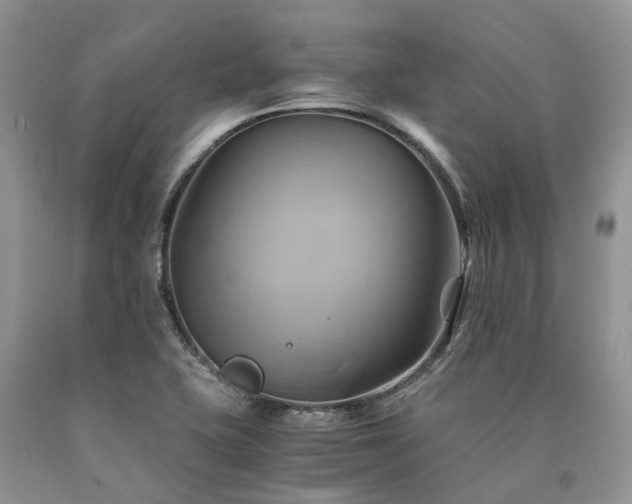 X0000090781415200707201514