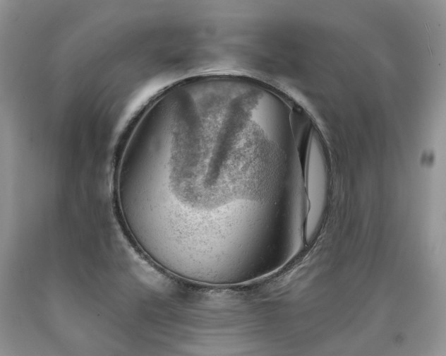 X0000090781416200707201514