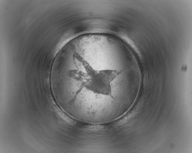 X0000090781417200707201514