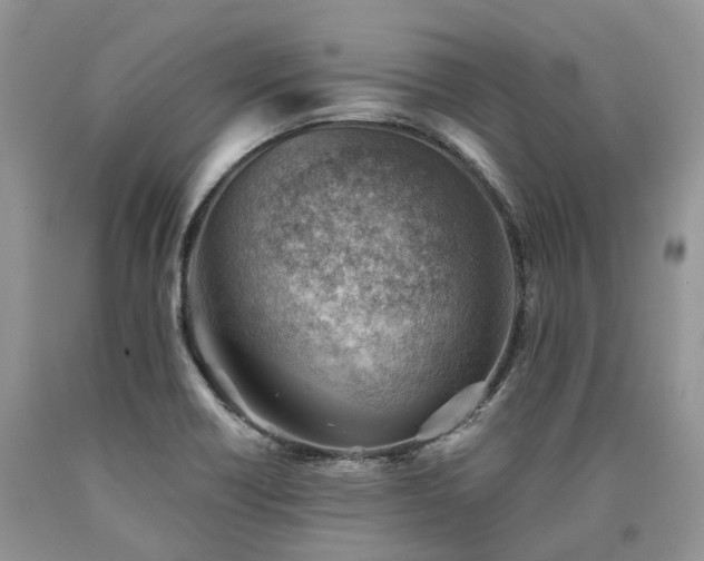 X0000090781418200707201514