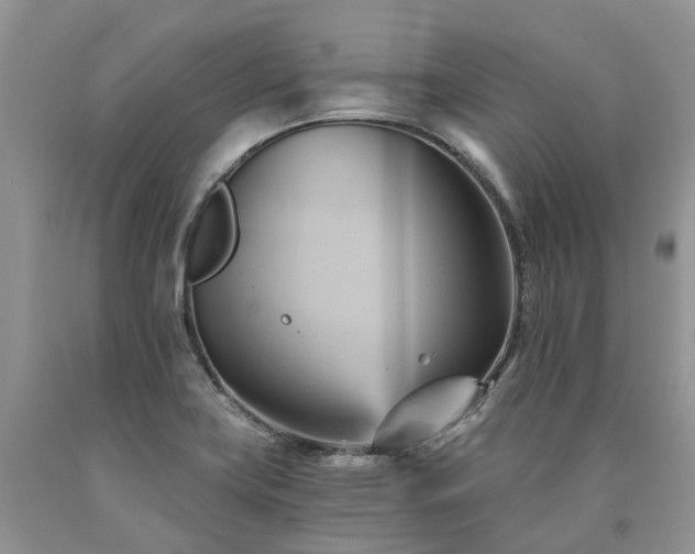 X0000090781419200707201514