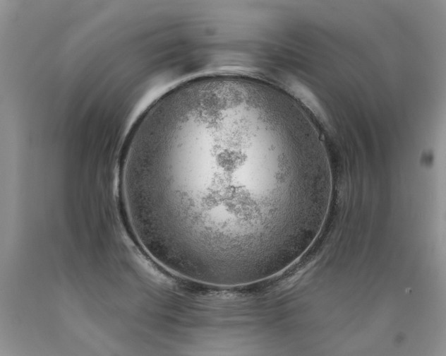 X0000090781420200707201514