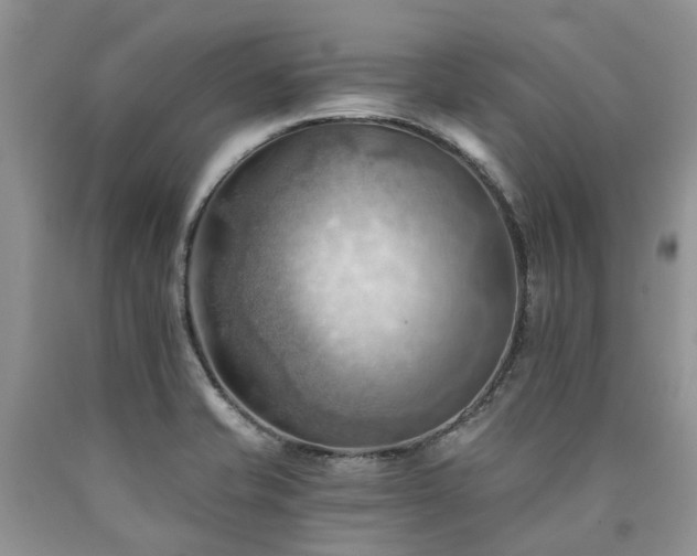 X0000090781421200707201514