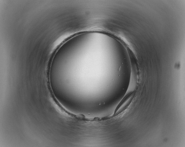 X0000090781422200707201514