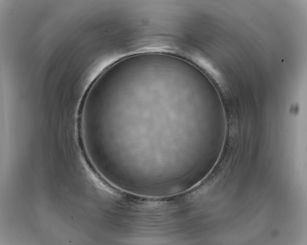 X0000090781423200707201514