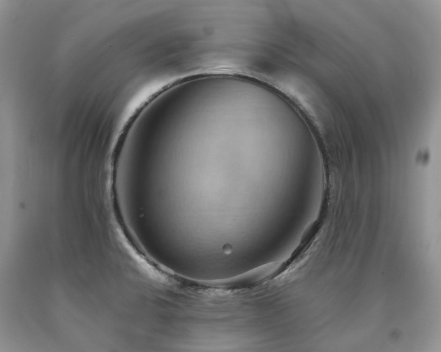 X0000090781424200707201514