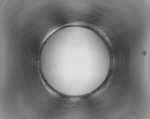 X0000090781425200707201514