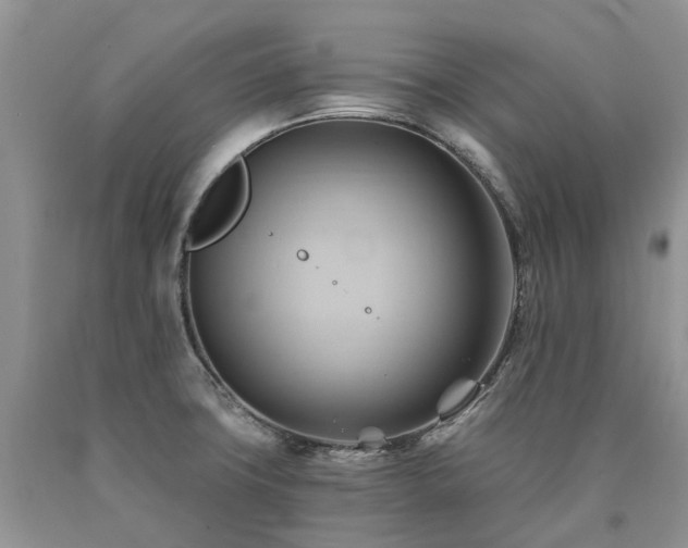 X0000090781427200707201514