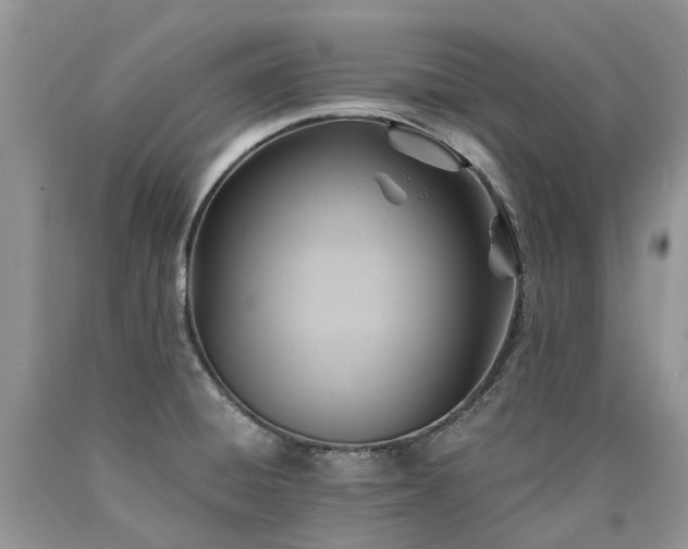 X0000090781428200707201514