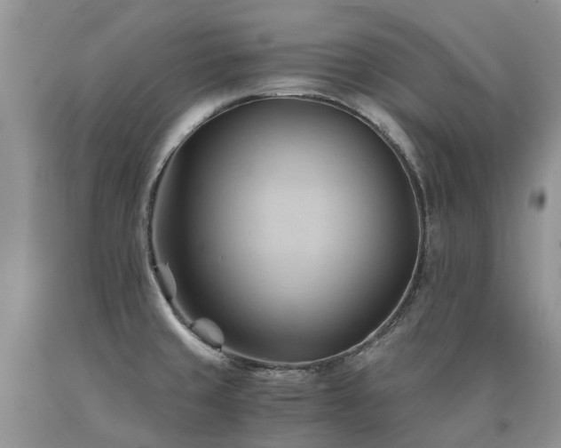 X0000090781429200707201514