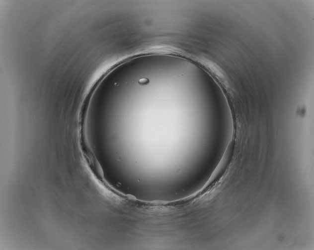 X0000090781430200707201514