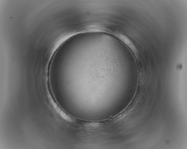 X0000090781431200707201515