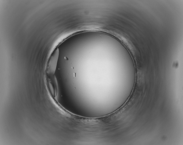 X0000090781432200707201515