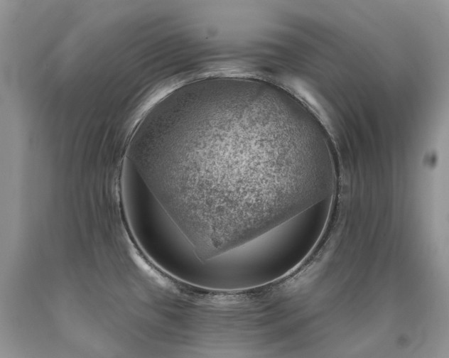 X0000090781433200707201515