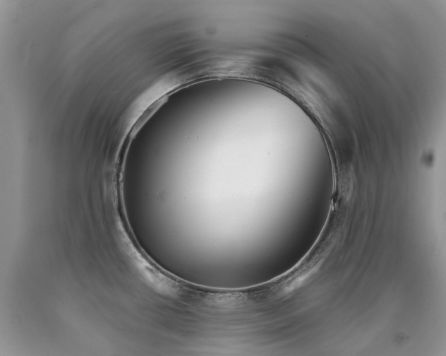 X0000090781434200707201515
